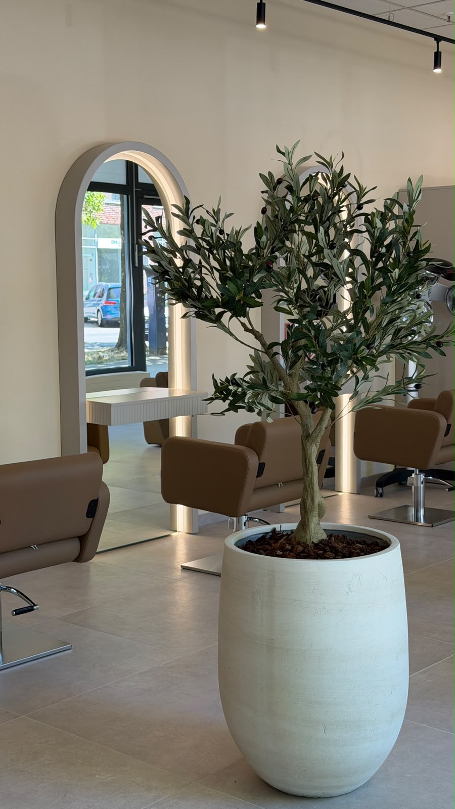 Olivenbaum im weißen Steintopf vor beleuchtetem Bogenspiegel im Salon
