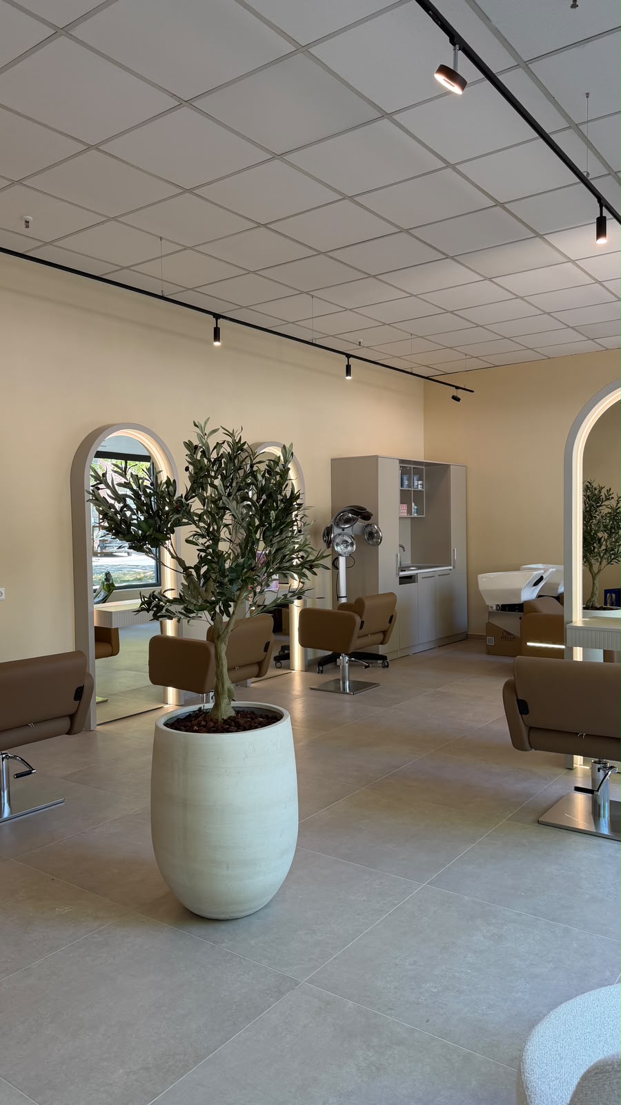 Blick durch den Salon mit Olivenbaum, Bogenspiegeln und Bedienplätzen